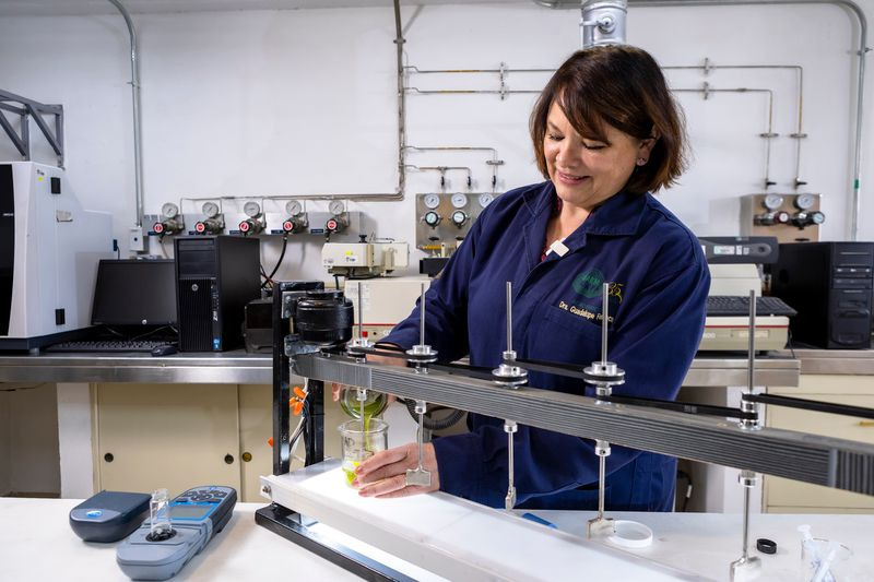 Mujeres en la ciencia